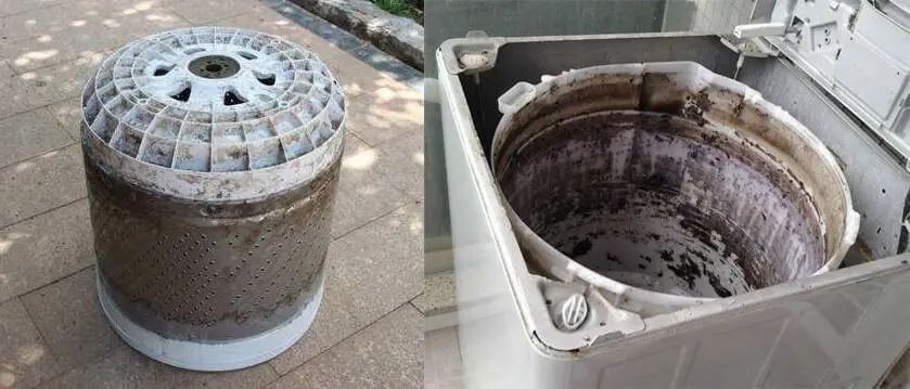Mold in Washing Machine and HVAC Condensation Issues" Alt Text: "Mold growing on a washing machine's inner drum and condensation forming on HVAC equipment due to improper operation