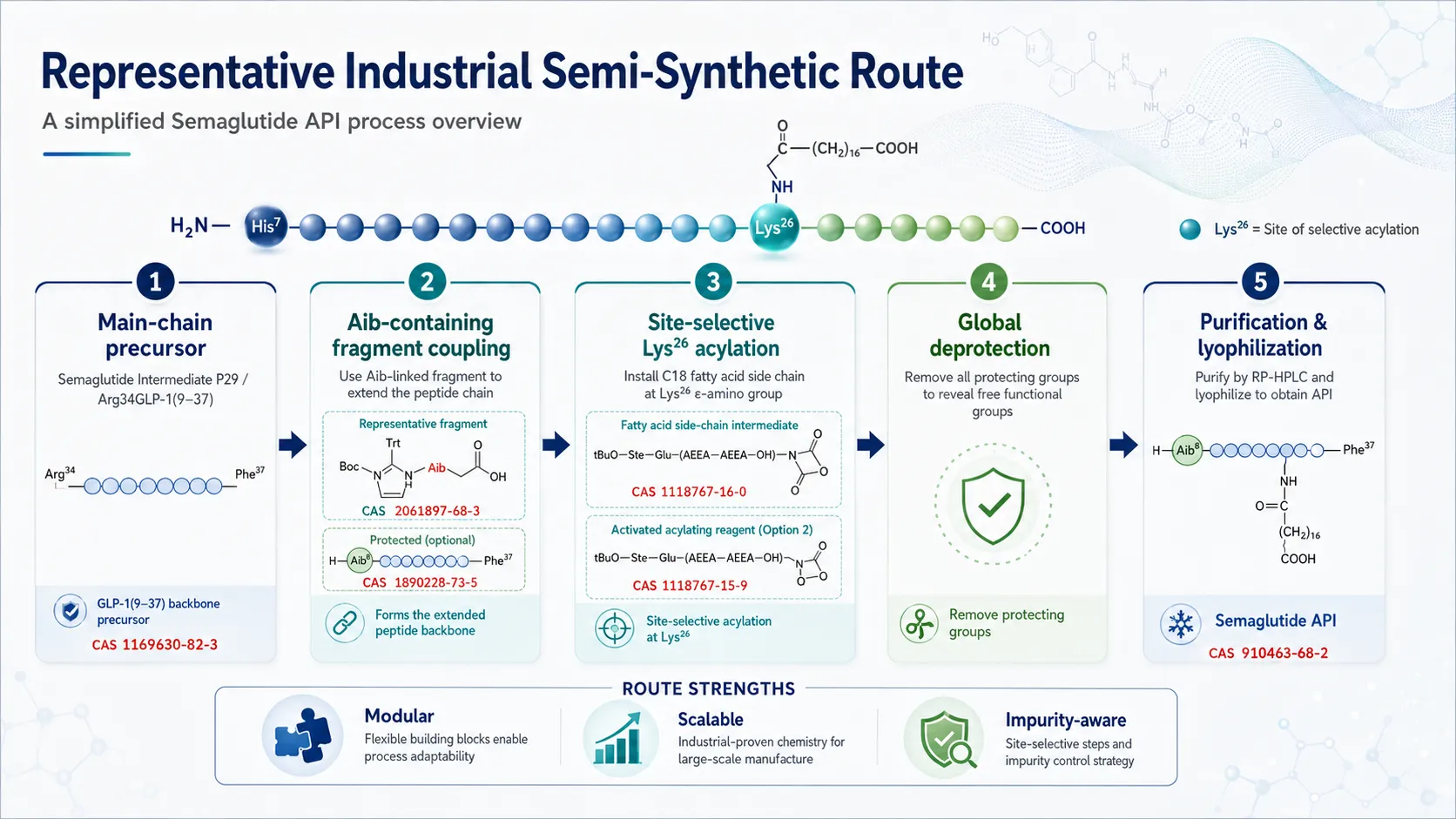 Simplified industrial semi-synthetic route for Semaglutide API from main-chain precursor to purification and lyophilization.
