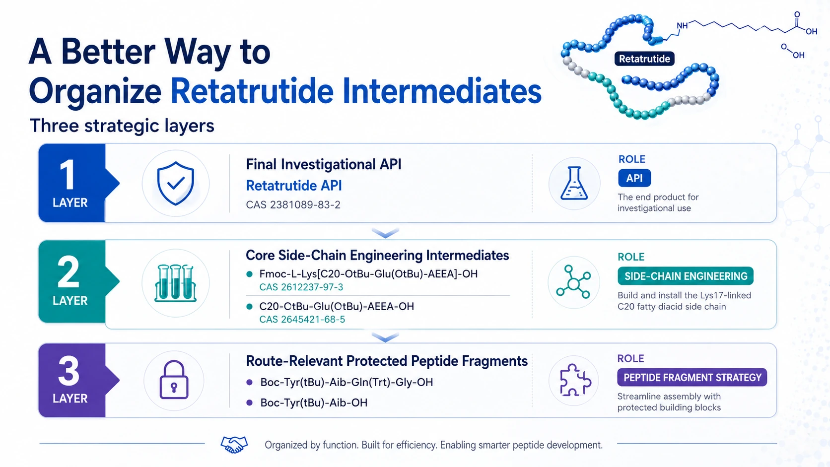 Infographic organizing Retatrutide API and intermediates into three strategic layers: final investigational API, core side-chain engineering intermediates and route-relevant protected peptide fragments.