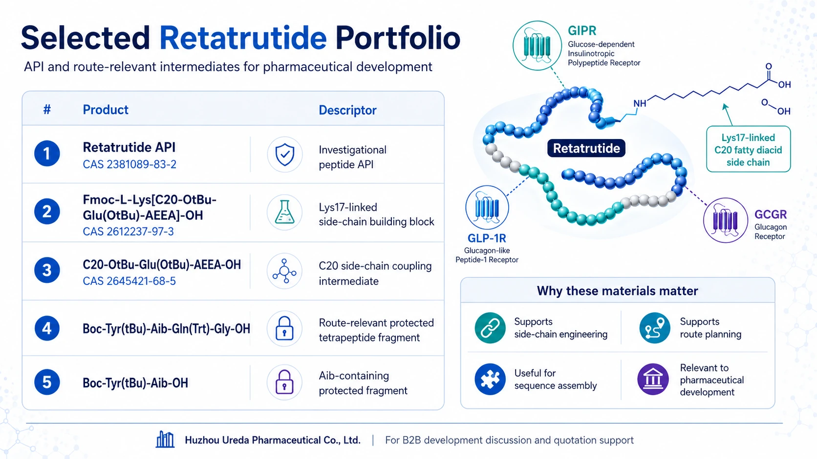 Selected Retatrutide portfolio showing Retatrutide API and key intermediates including side-chain building blocks, C20 coupling intermediates and route-relevant protected peptide fragments for pharmaceutical development.