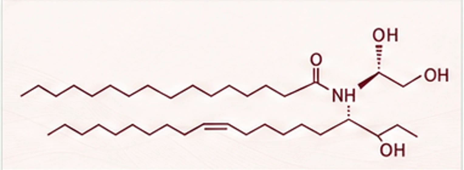Ceramide NP structural formula in a clean editorial product card